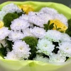 Букет 