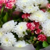 Букет 